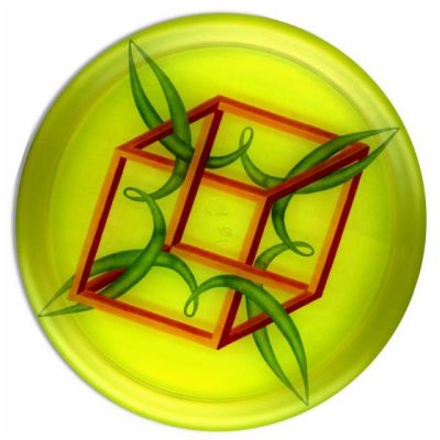 Flying disc with impossible cube