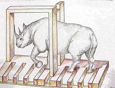 The rhino going throgh impossible construction