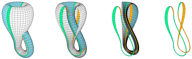 Klein bottle as two Mobius stripes