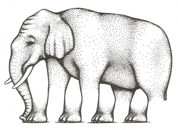 Невозможный слон Роджера Шепарда