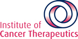 Institute of Cancer Therapeutics