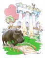 Animals - Hippo